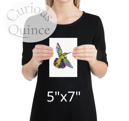 Hummingbird Collage Art Print
