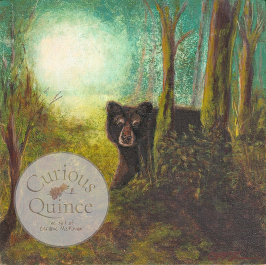 Original painting 6x6 inches - Black Bear "Forest Swag"