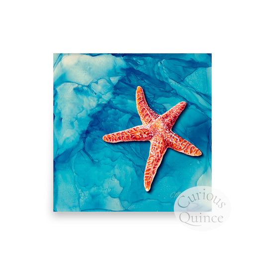 Starfish Blues Print from Original Art