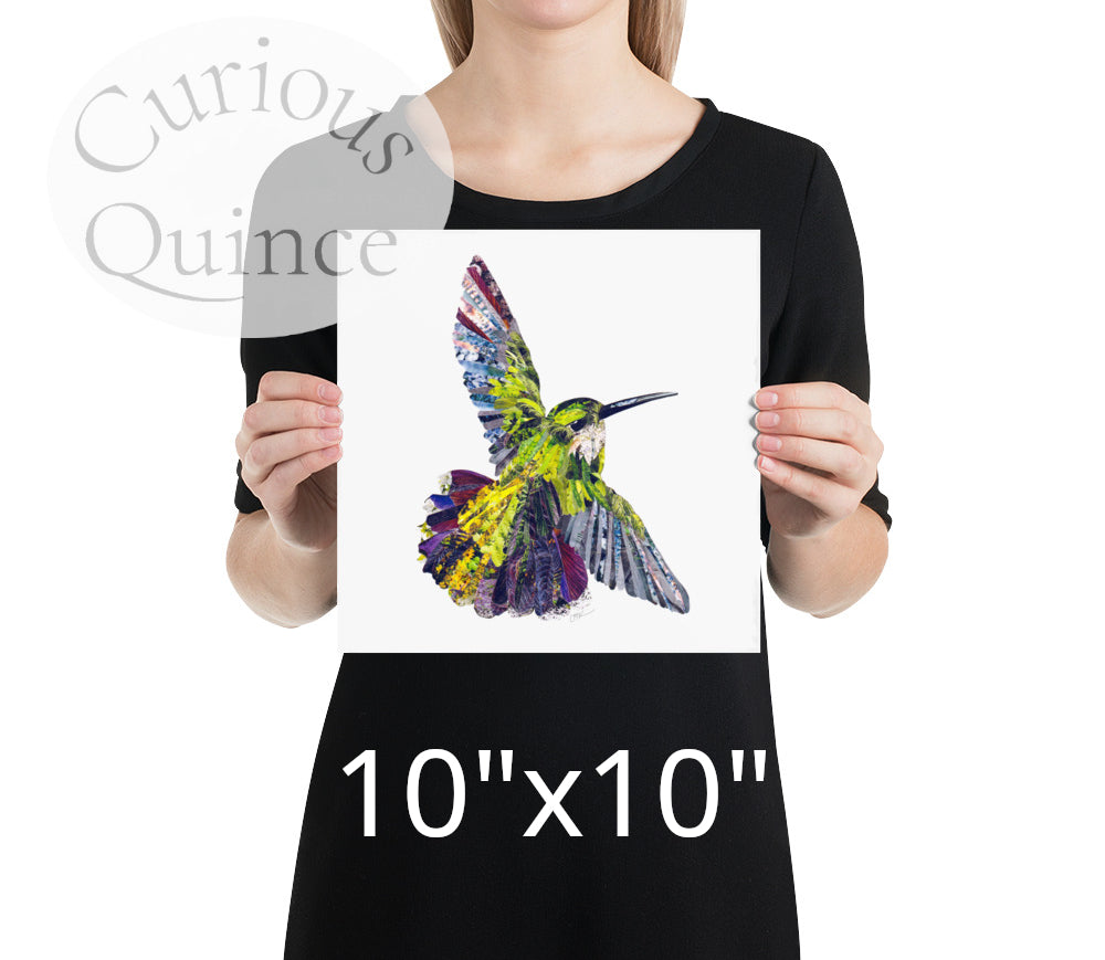 Hummingbird Collage Art Print