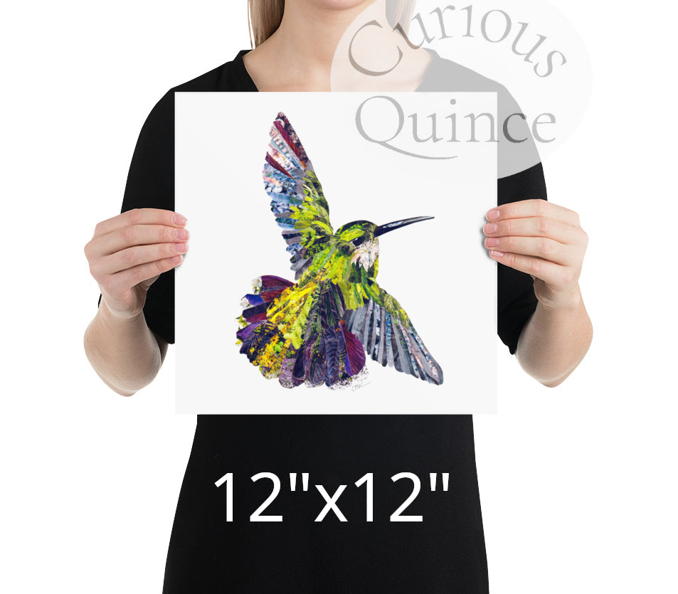 Hummingbird Collage Art Print