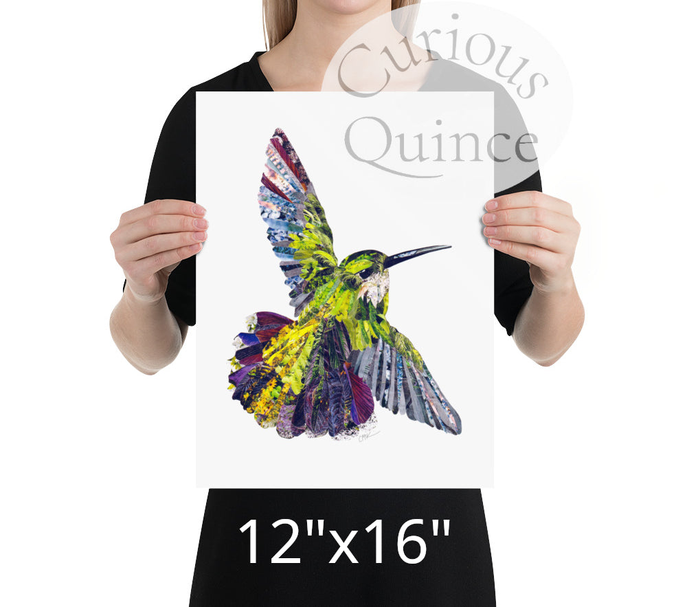 Hummingbird Collage Art Print