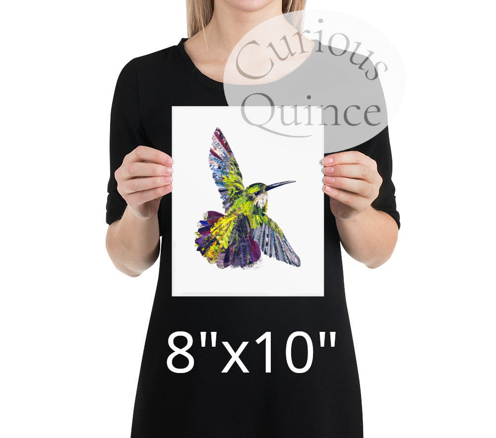 Hummingbird Collage Art Print