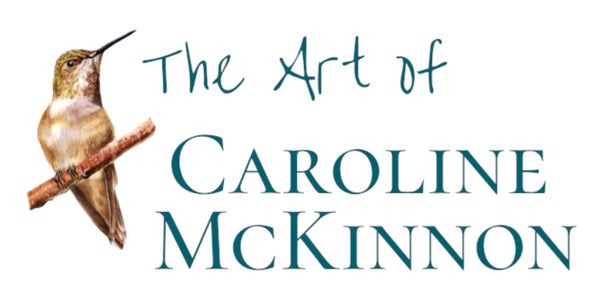 Curious Quince - The Art of Caroline McKinnon