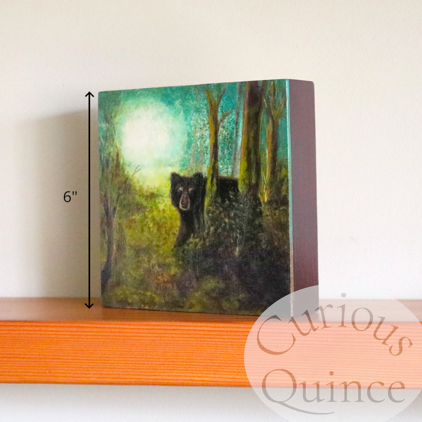Original painting 6x6 inches - Black Bear "Forest Swag"