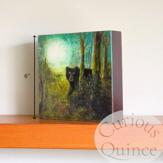 Original painting 6x6 inches - Black Bear "Forest Swag"