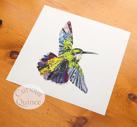 Hummingbird Collage Art Print